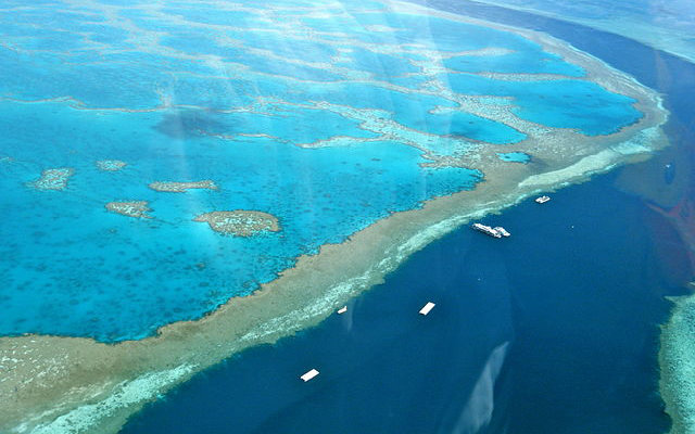 Great Barrier Reef Australia